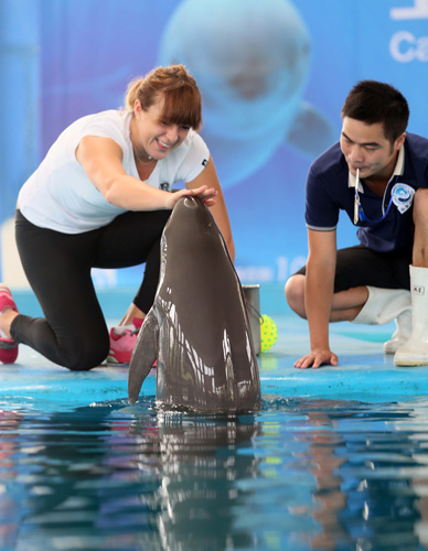 一场充满悬 一场充满悬