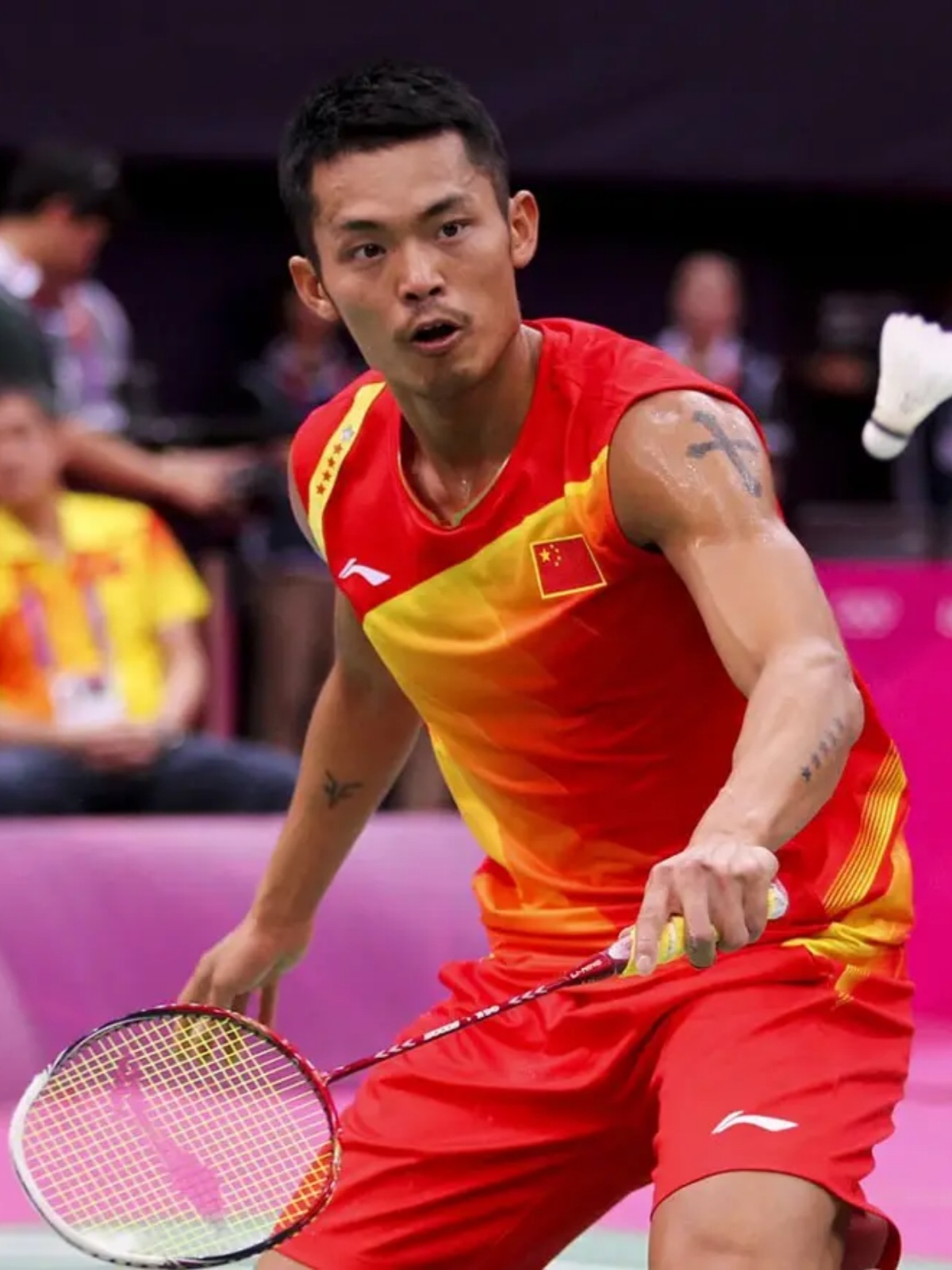 阿根廷的可 阿根廷的可