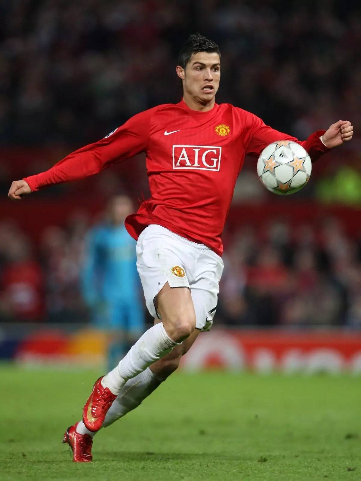 论的方向 论的方向